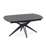 Table a manger Céramique Nénuphar 160